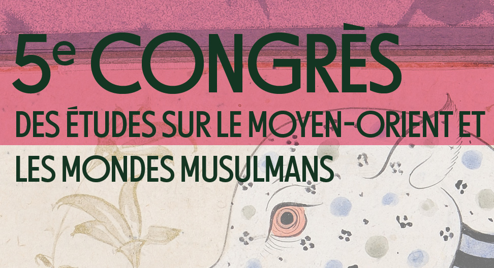 GIS_MOMM_bandeau_congres