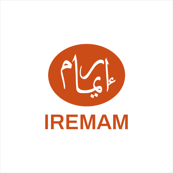 Logo pour motion-site-iremam