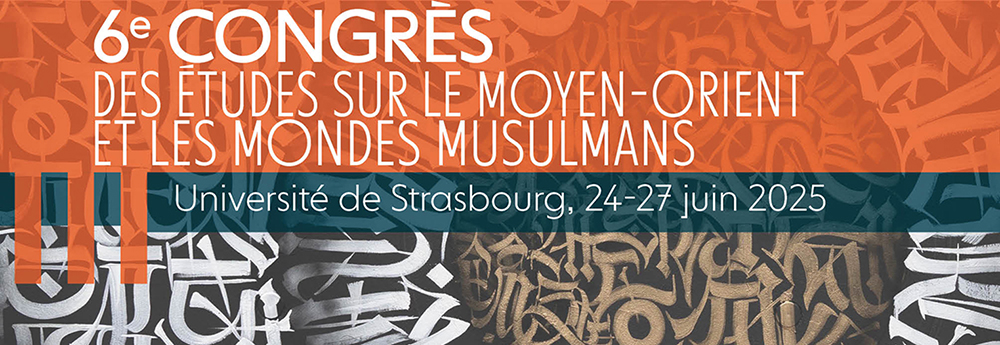 VISUEL_Sciencesconf_2_B-site-iremam.jpg 
