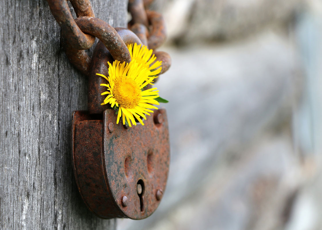 ferrmeture été-pixabay