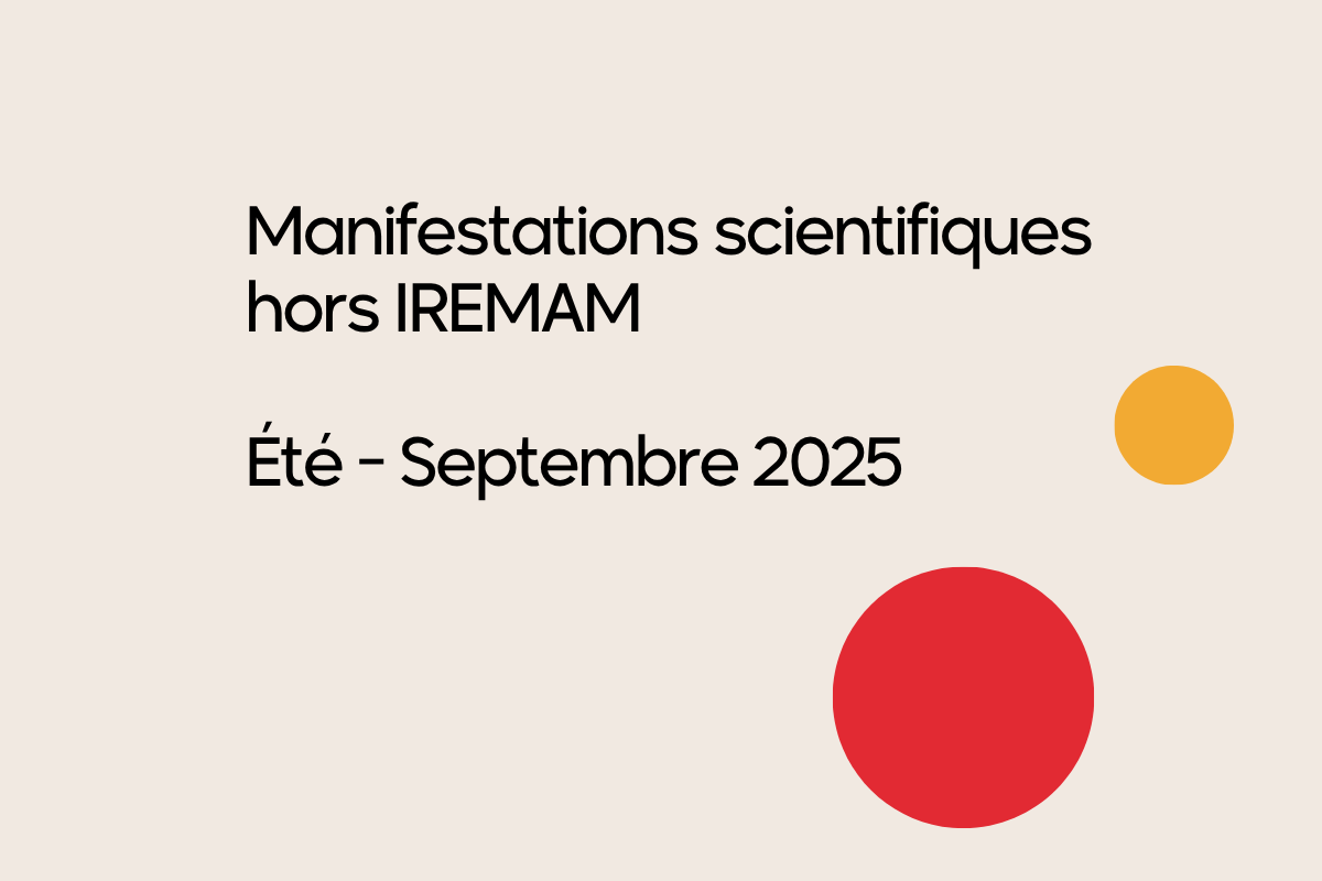 flyer-veille-site-iremam